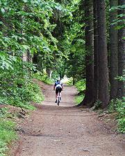 Cykloturistický okruh - lesní cyklostezky